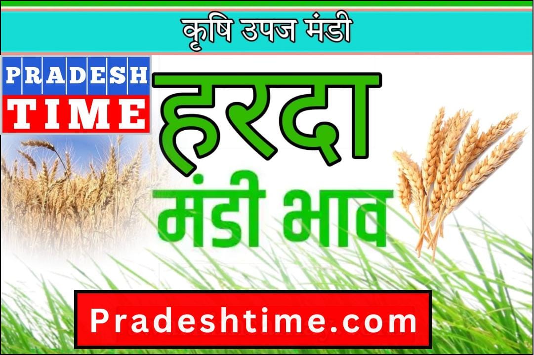 Harda Mandi Bhav: Today's prices of Harda Agricultural Produce Market (Date 19 June 2024)