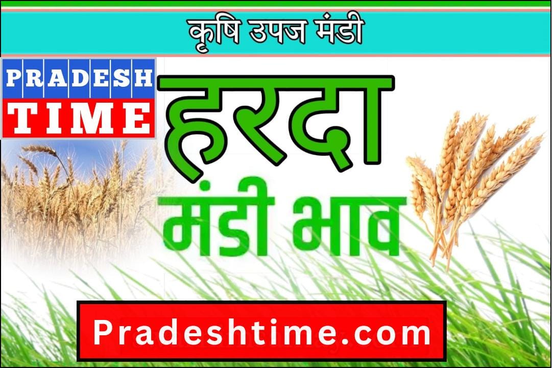 Today Harda Mandi Bhav – Today's prices of agricultural produce market Harda (dated 20 April 2024)