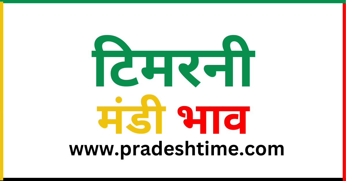 Timarni Mandi Bhav: Information about the latest price of Krishi Upaj Mandi Timarni today (Date 11 July 2024)