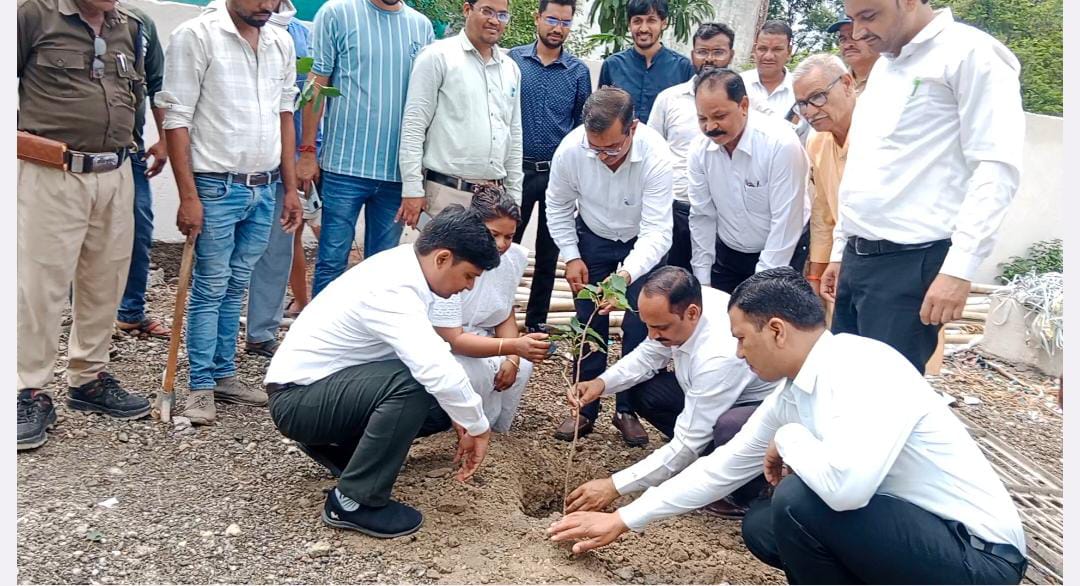 Dewas News: The judge planted a sapling in the new premises of the SDM office on Friday.
