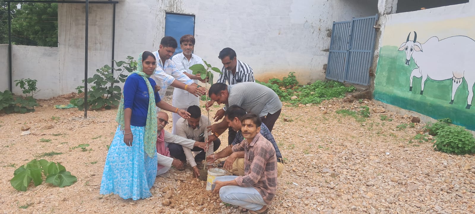 Khategaon: 101 plants were planted in the cowshed under the campaign 'One Plant in the Name of Mother'