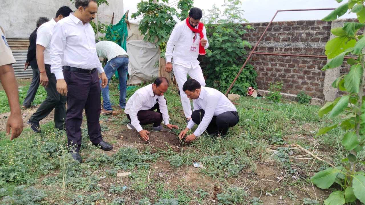 Khategaon News: Judges, teachers and students planted saplings in Emerald School campus