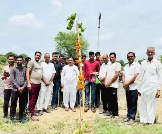 Khatgaon News: Tree plantation was done in Village Panchayat Bijalgaon.