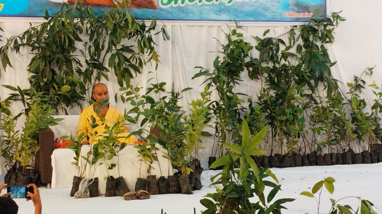 1400th day 1400 plants distributed