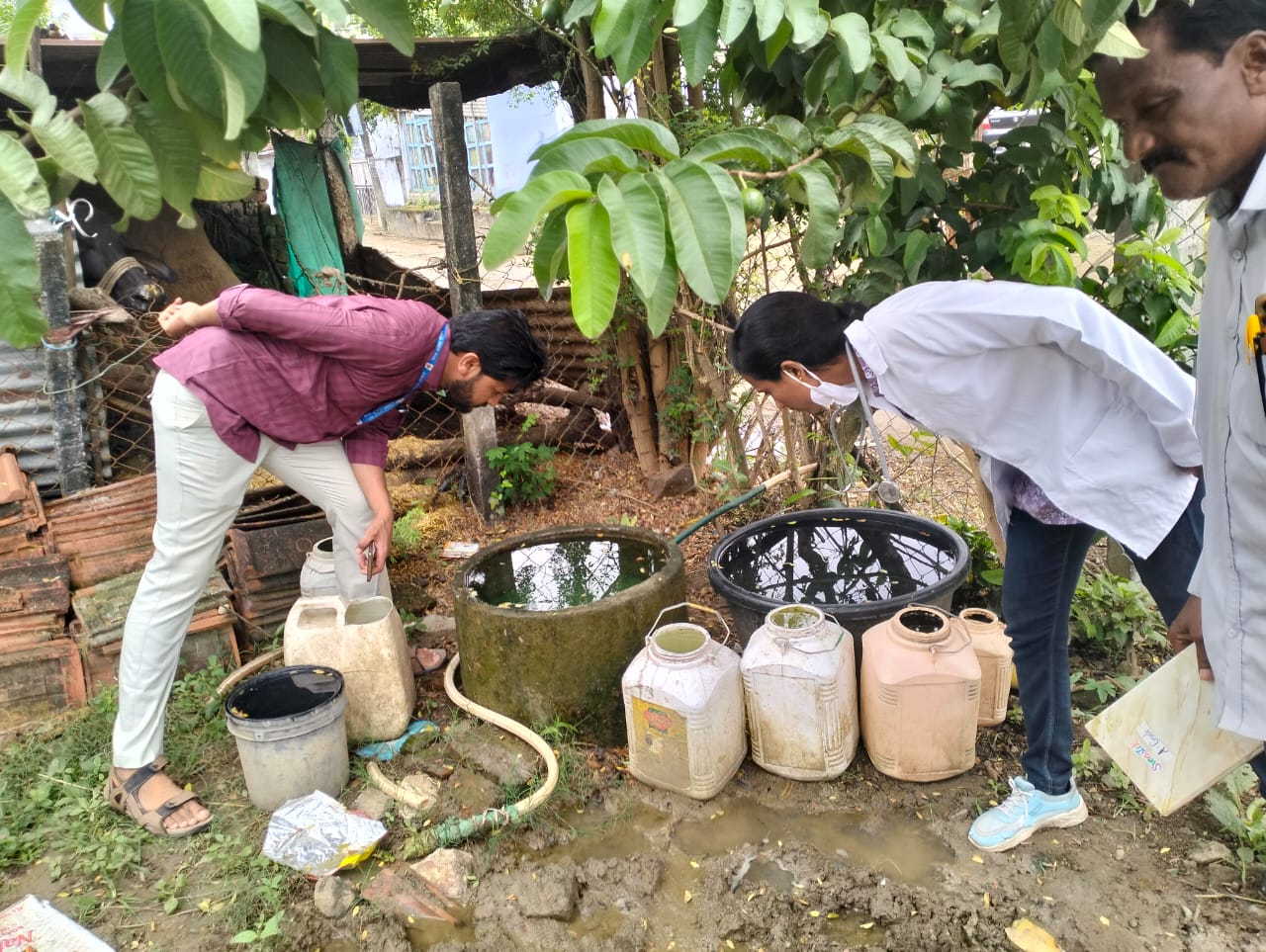Three youths died of fever in Kharda