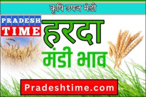 Harda Mandi Bhav: Today's prices of Harda Agricultural Produce Market (Date 20 June 2025)