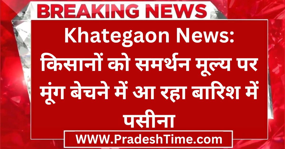 Khategaon News: Farmers are sweating in the rain to sell moong at the support price
