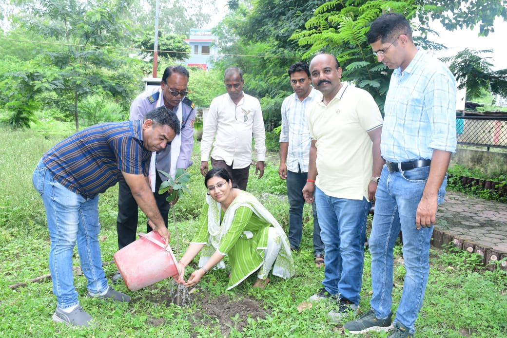 Khategaon News: Deputy Commissioner Deepali Khandelwal planted trees in the bank premises