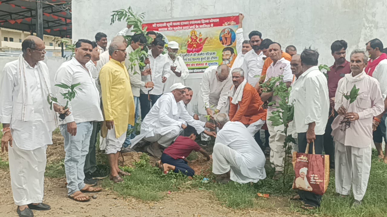 Best work in the field of greenery under the guidance of Sadhak Saint Dada Bhai: Pandit Tiwari