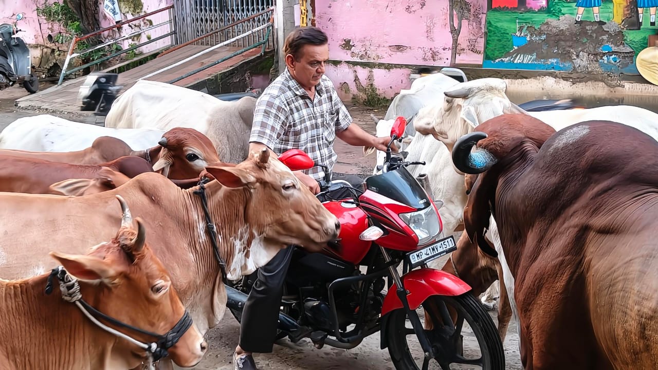 Cow service is the true service of God: Principal Dr. Abhay Jain